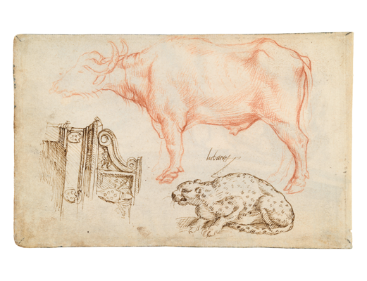 Sketchbook, folio 17v