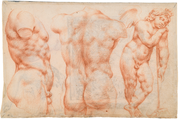 Sketchbook, folio 50v