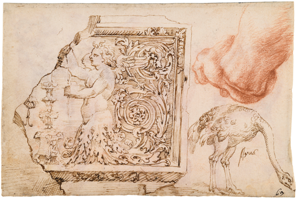 Sketchbook, folio 50r