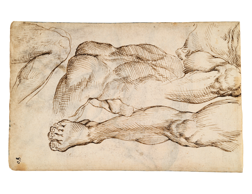 Sketchbook, folio 67r