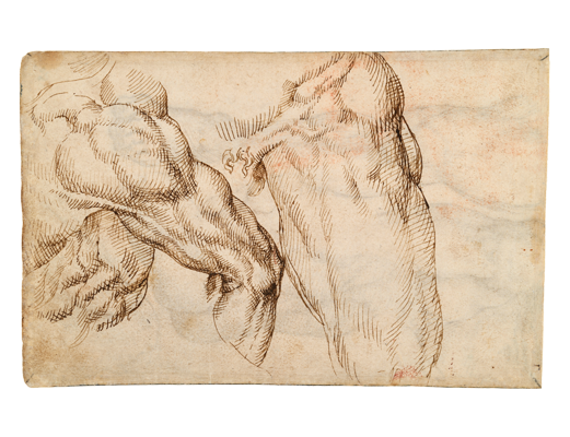 Sketchbook, folio 67v