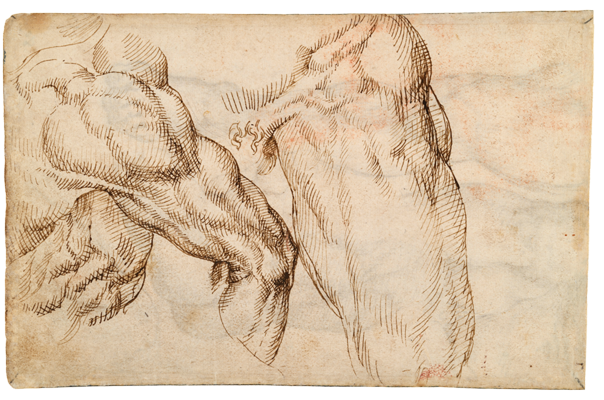 Sketchbook, folio 67v