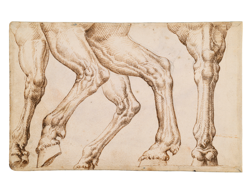 Sketchbook, folio 75v