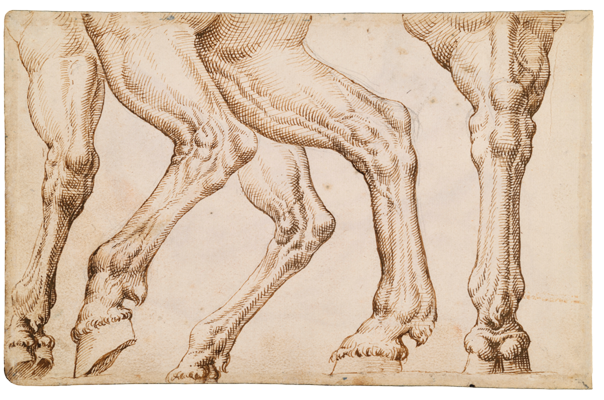 Sketchbook, folio 75v