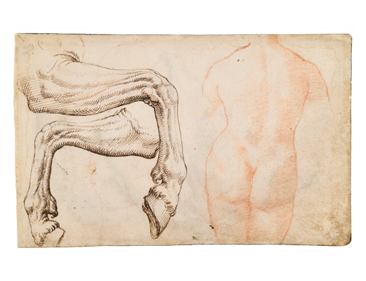 Sketchbook, folio 63v