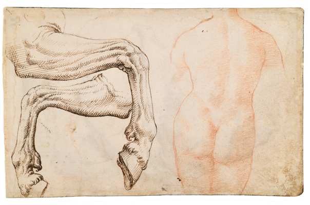 Sketchbook, folio 63v