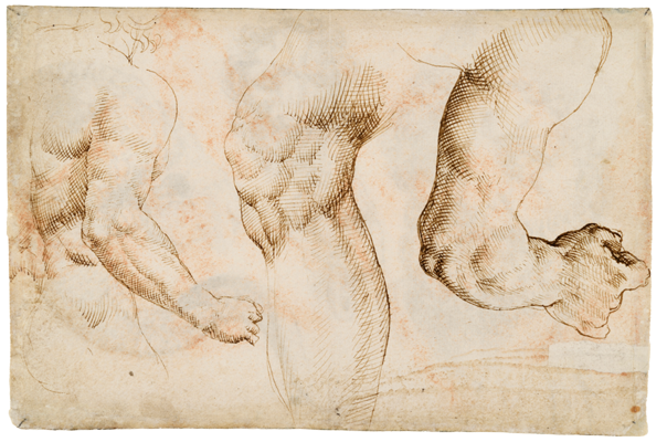 Sketchbook, folio 38v