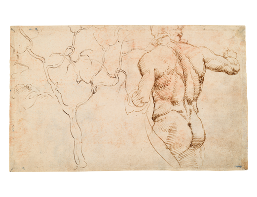 Sketchbook, folio 16v