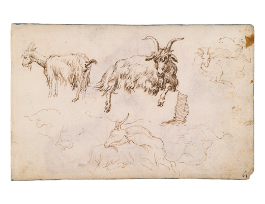 Sketchbook, folio 48r