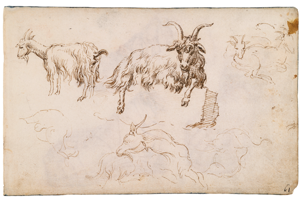 Sketchbook, folio 48r