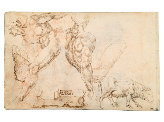 Sketchbook, folio 30r