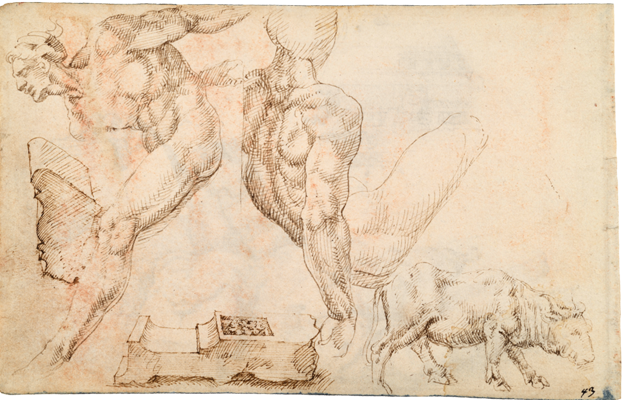 Sketchbook, folio 30r