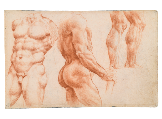 Sketchbook, folio 60v