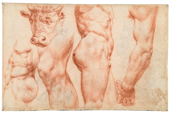 Sketchbook, folio 52v