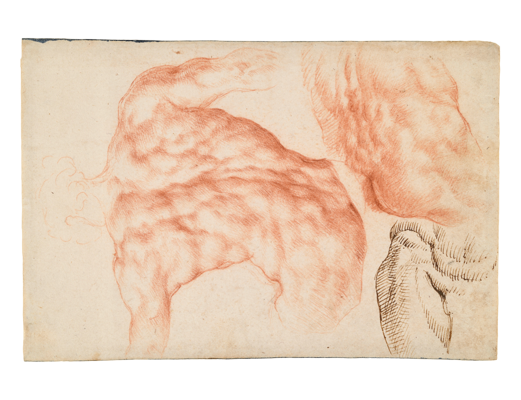 Sketchbook, folio 49r