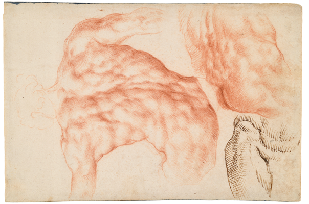 Sketchbook, folio 49r